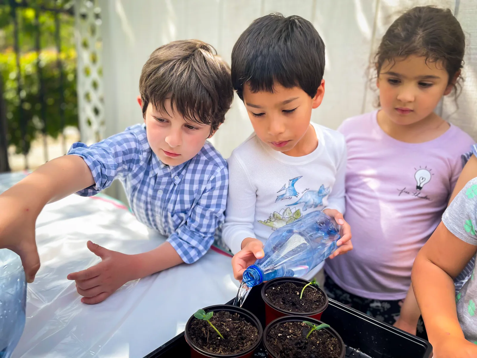 Starbright kindergarten students planting seeds